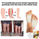 Bee Venom Lymphatic Drainage & Slimming Foot Patches 🌿👣 ( Set of 60 Patches)